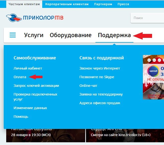 sait-trikolor-kak-oplatit-odpisku-5040526